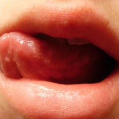 MyDirtyHobby - Image 6